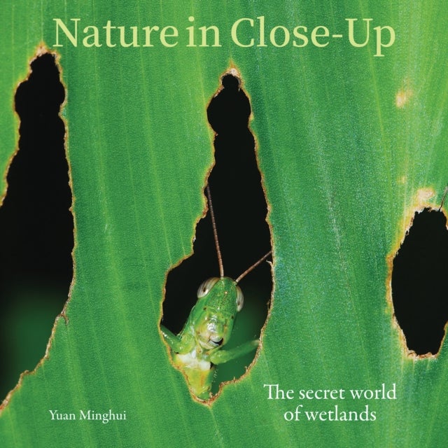 Nature in Close-Up - The secret world of wetlands