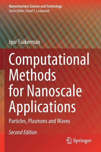 Computational Methods for Nanoscale Applications - Particles, Plasmons and Waves