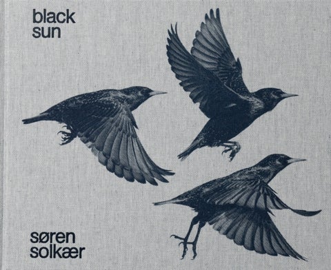 S¿ren Solk¿ Black Sun