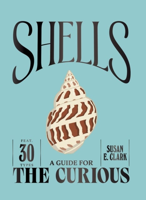 Shells