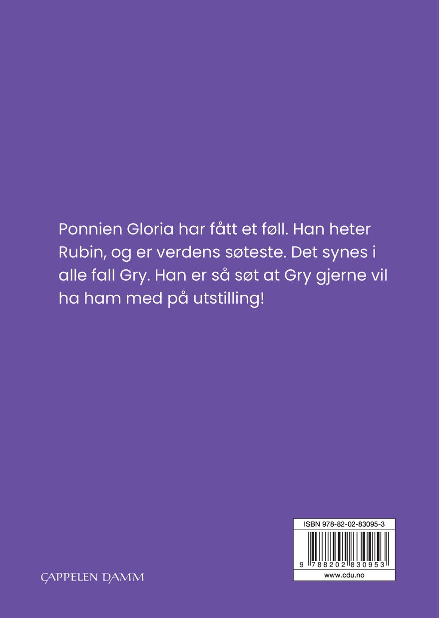 Rubins første utstilling