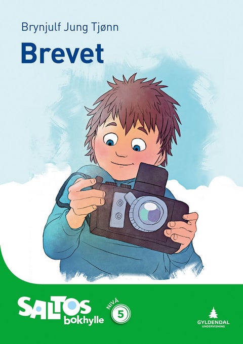 Brevet - nivå 5