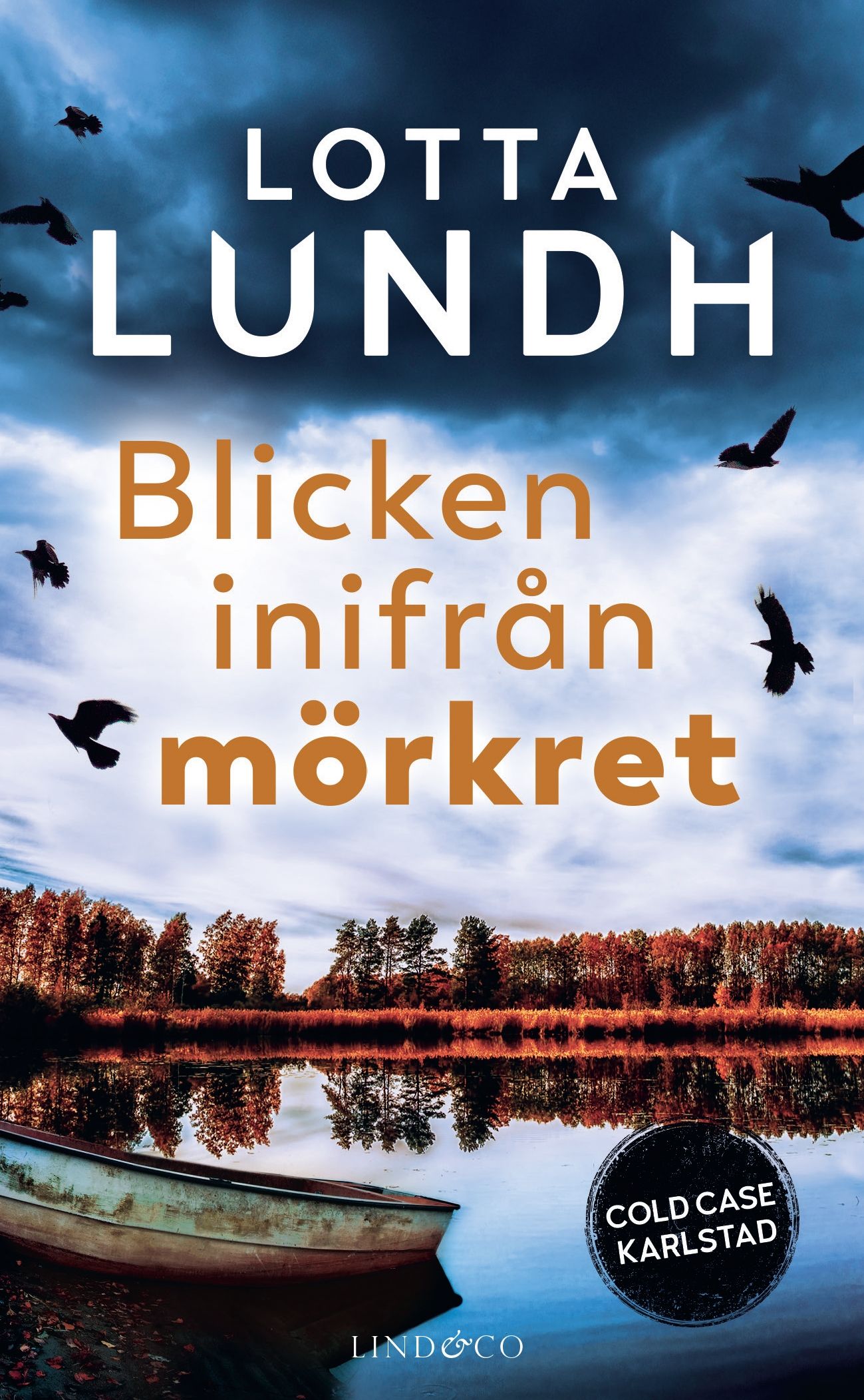 Blikket fra mørket