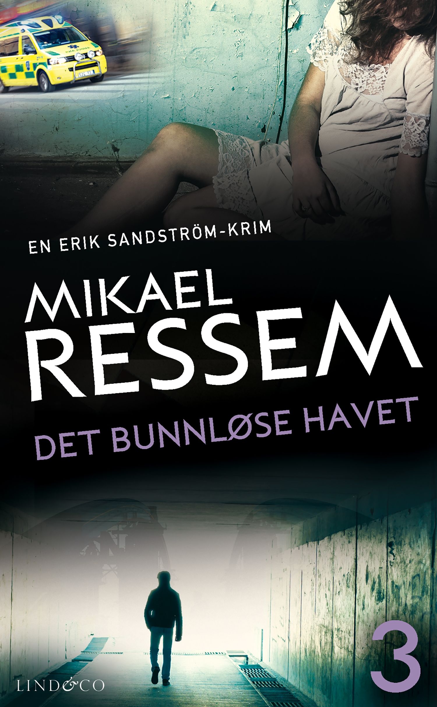 Det bunnløse havet