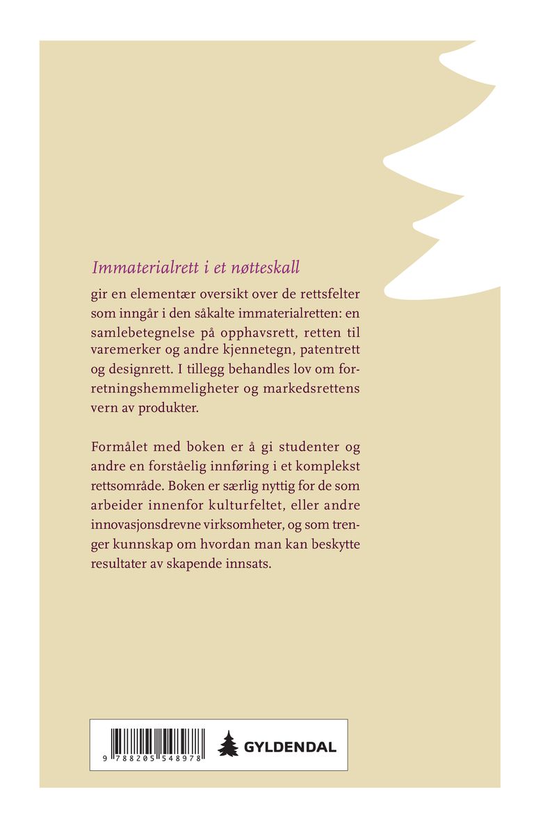 Immaterialrett i et nøtteskall