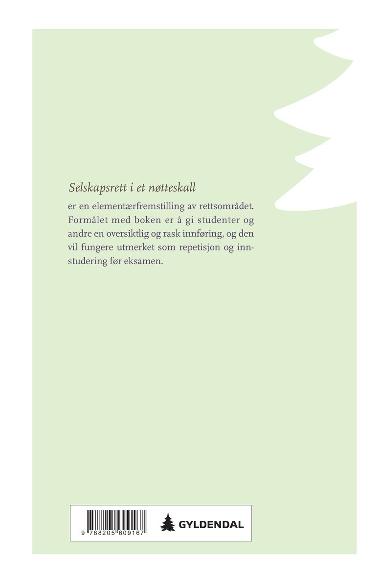 Selskapsrett i et nøtteskall