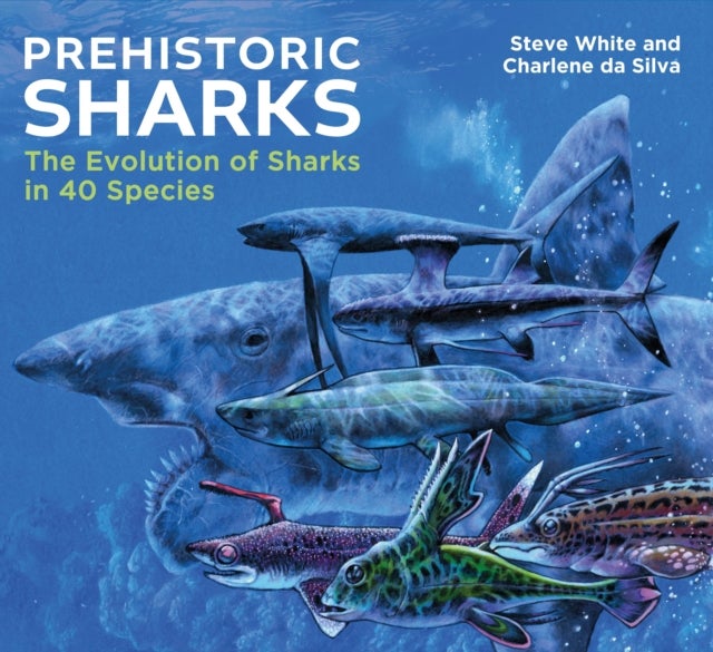 Prehistoric Sharks - The Evolution of Sharks in 40 Species