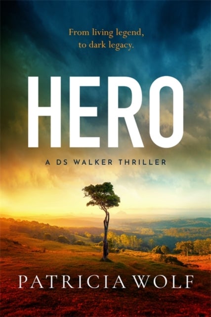 Hero - The new gripping thriller from the author of OUTBACK for 2026
