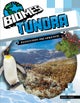Tundra Ecosystems and Habitats