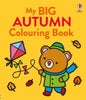 My Big Autumn Colouring Book