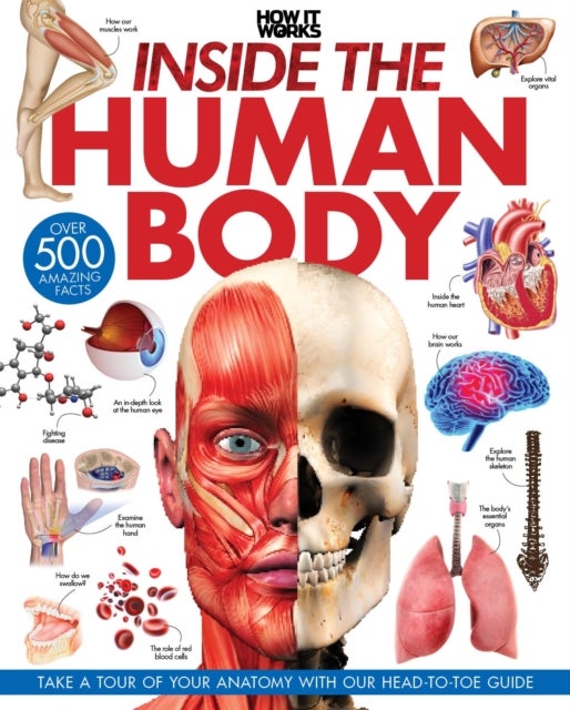 Inside the Human Body - A Complete Guide to How We Work