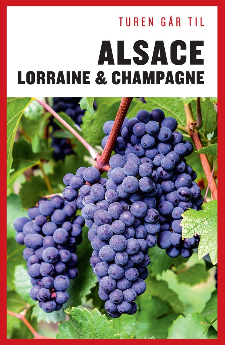 Turen går til Alsace - Lorraine & Champagne