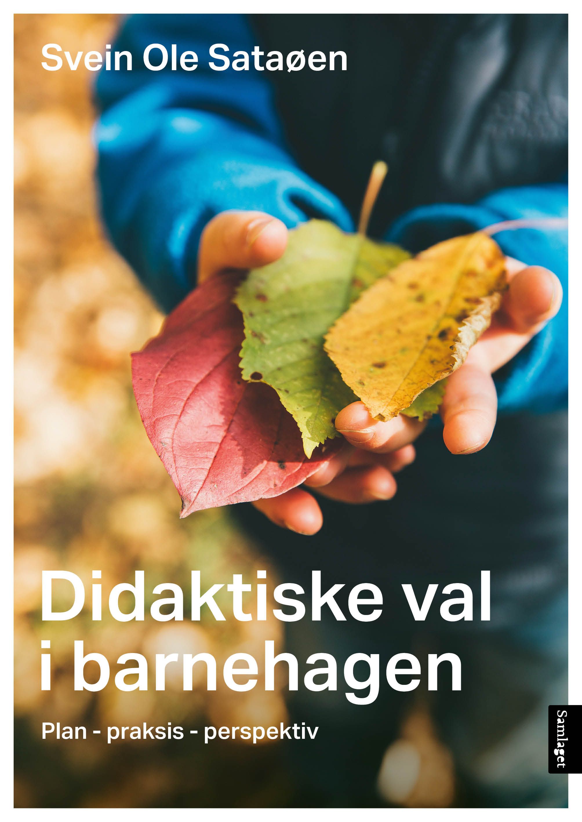 Didaktiske val i barnehagen - plan, praksis, perspektiv