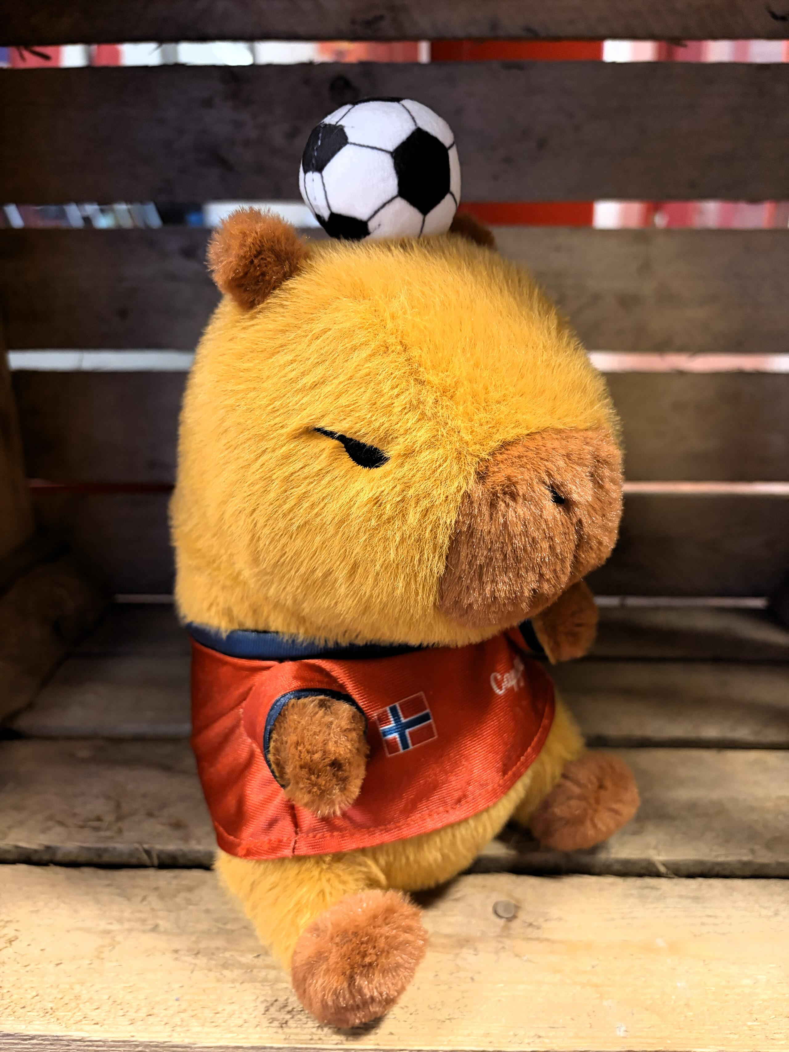 Plysj Flodsvin Fotball Norge 20cm
