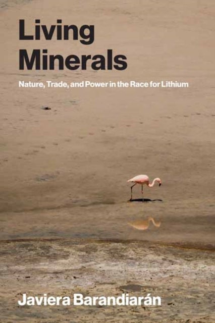 Living Minerals - Nature, Trade, and Power in the Race for Lithium