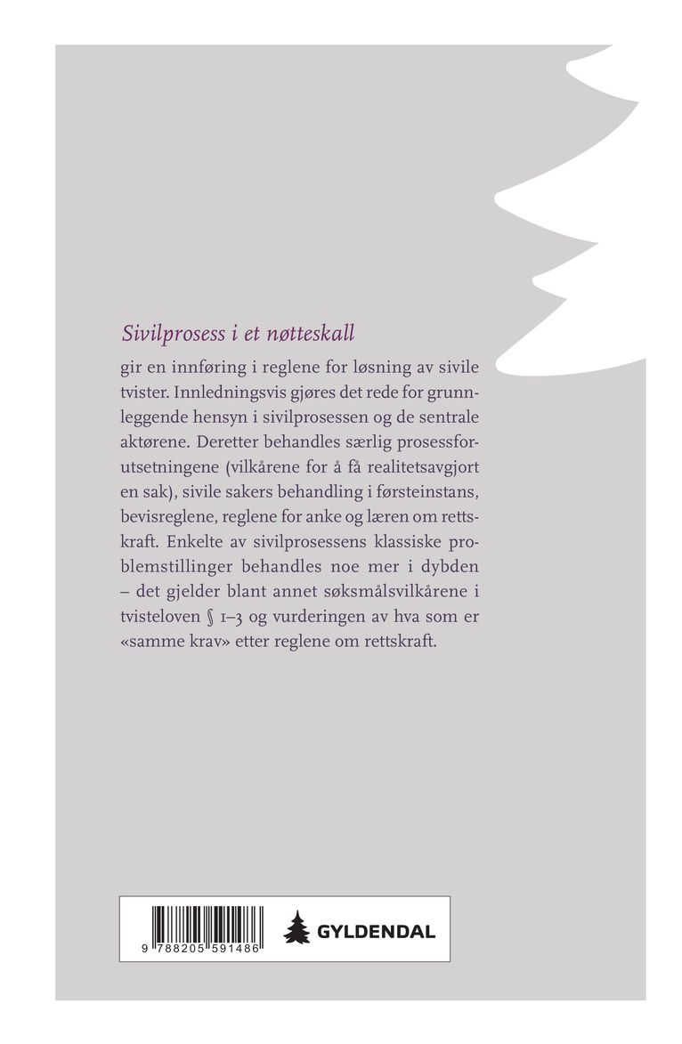 Sivilprosess i et nøtteskall