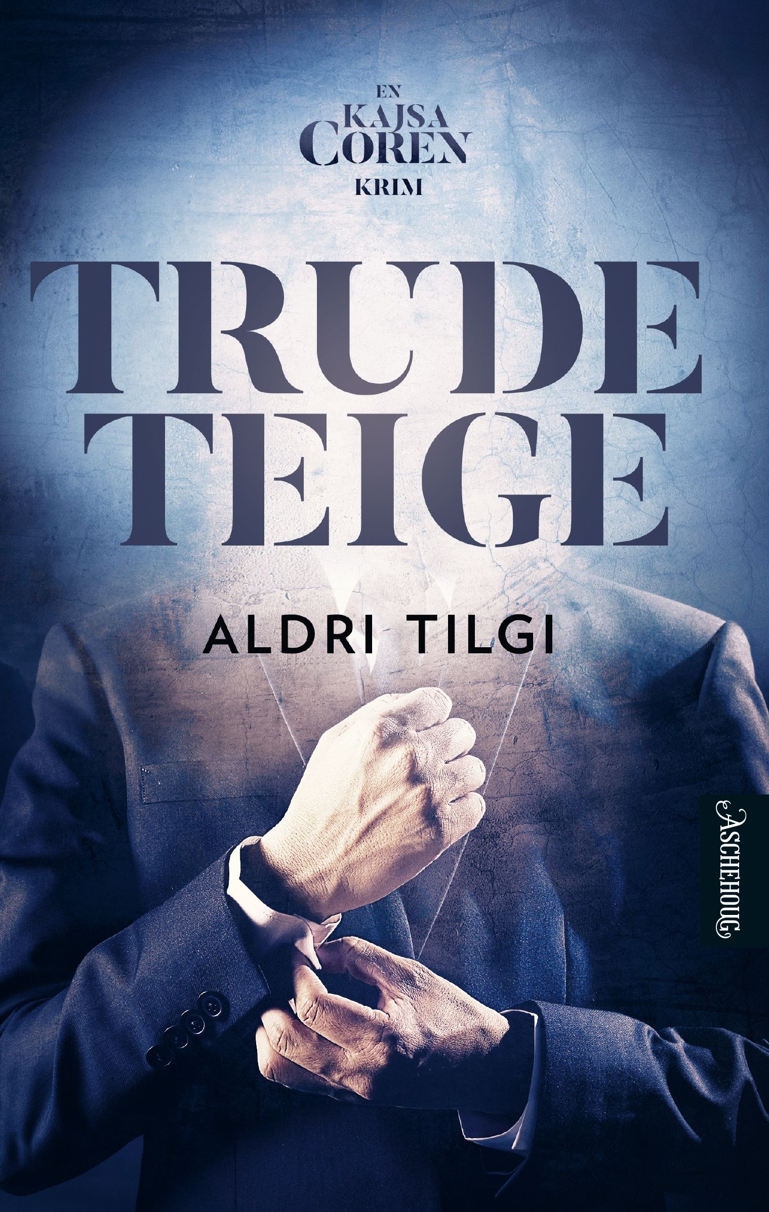 Aldri tilgi - en Kajsa Coren-krim
