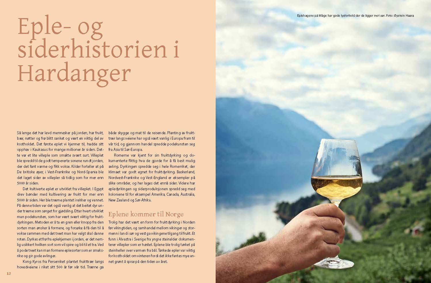 Hardangersider