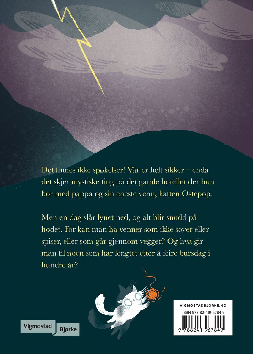 Spøkelseshviskeren