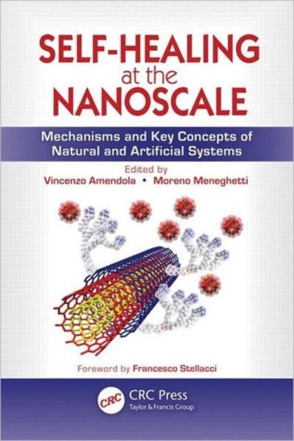 Self-Healing at the Nanoscale - Mechanisms and Key Concepts of Natural and Artificial Systems