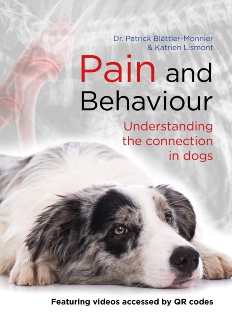 Pain and Behaviour - Understanding the connection in dogs
