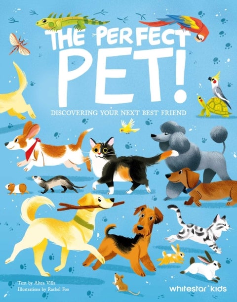 The Perfect Pet! - Discovering Your Next Best Friend