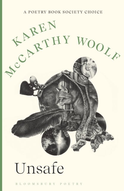 Unsafe - A Poetry Book Society Choice