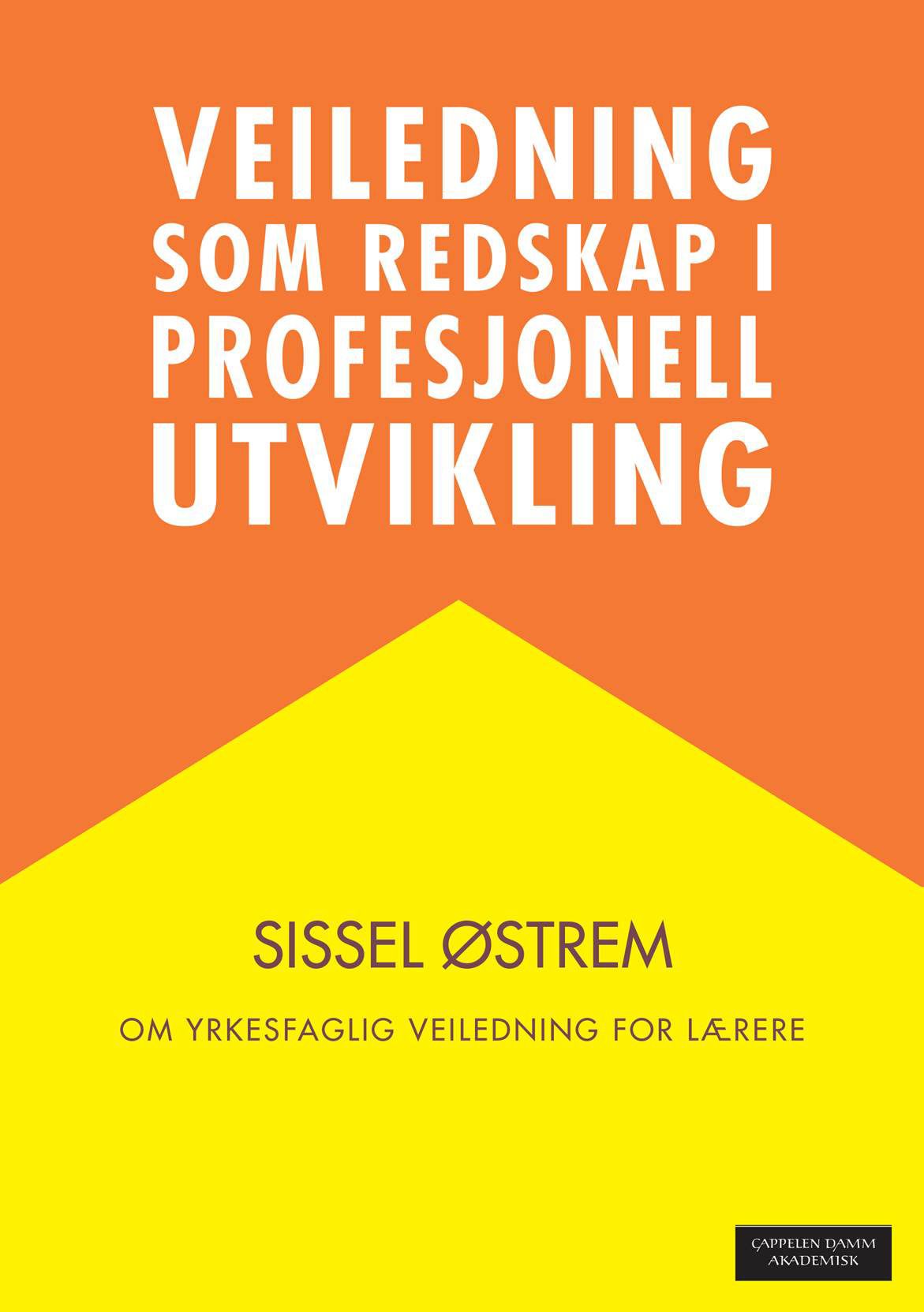 Veiledning som redskap i profesjonell utvikling - om yrkesfaglig veiledning for lærere