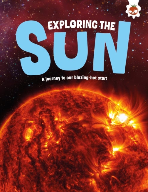Exploring the Sun - A journey to our blazing star