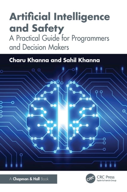 Artificial Intelligence and Safety - A Practical Guide for Programmers and Decision Makers