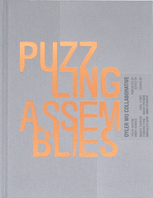 Puzzling Assemblies