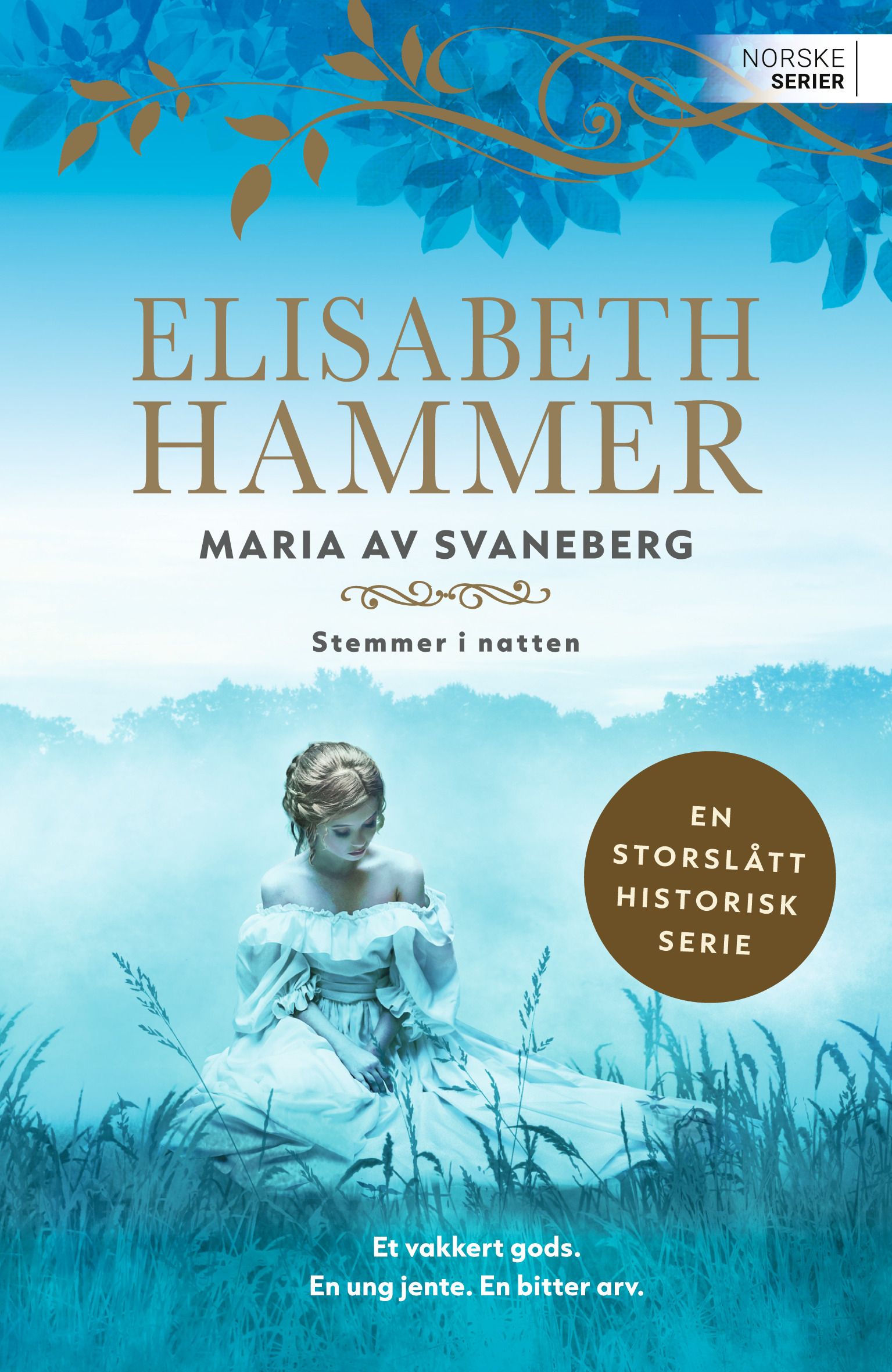 Stemmer i natten