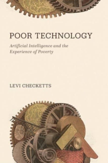 Poor Technology - Artificial Intelligence and the Experience of Poverty