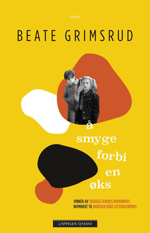 Å smyge forbi en øks - roman
