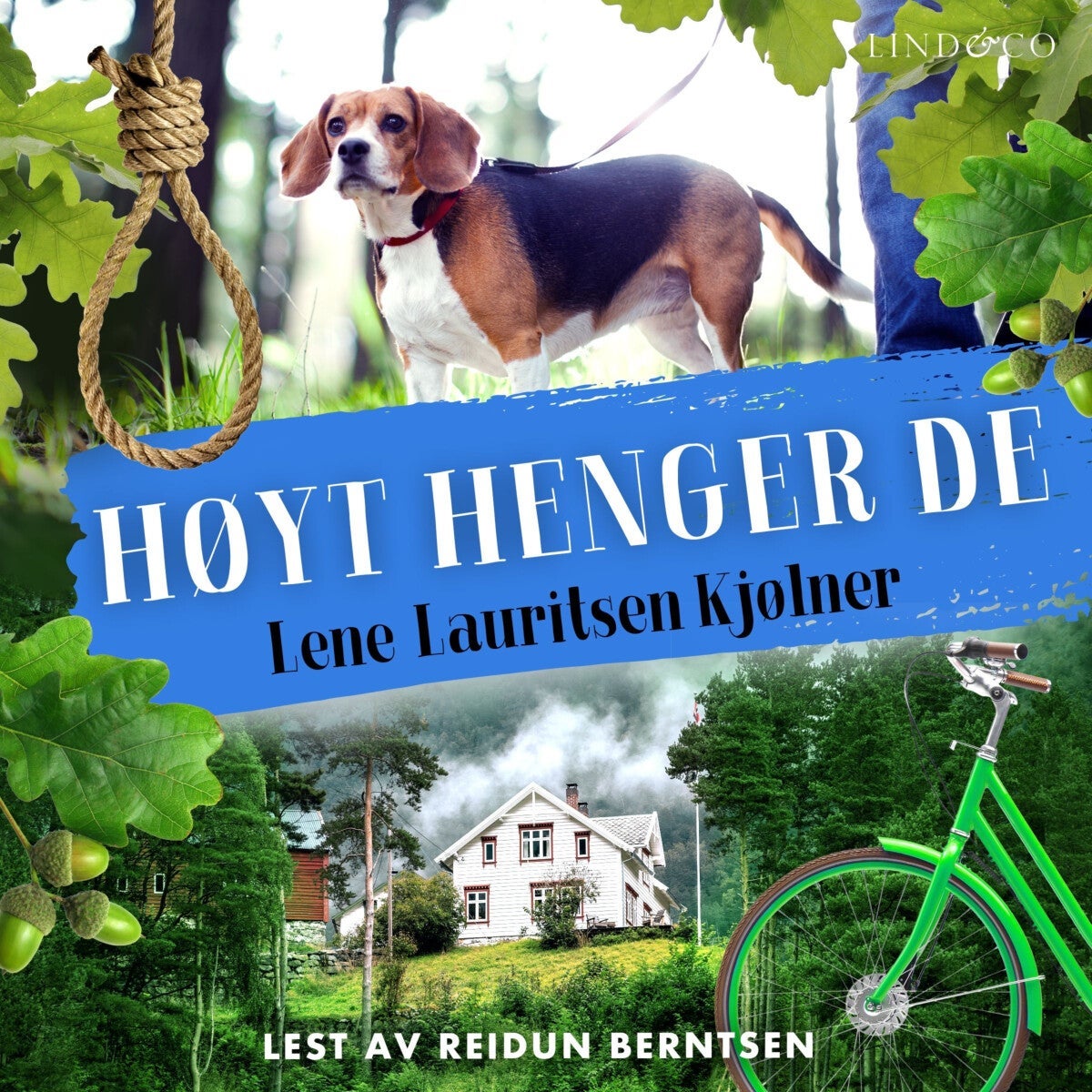 Høyt henger de