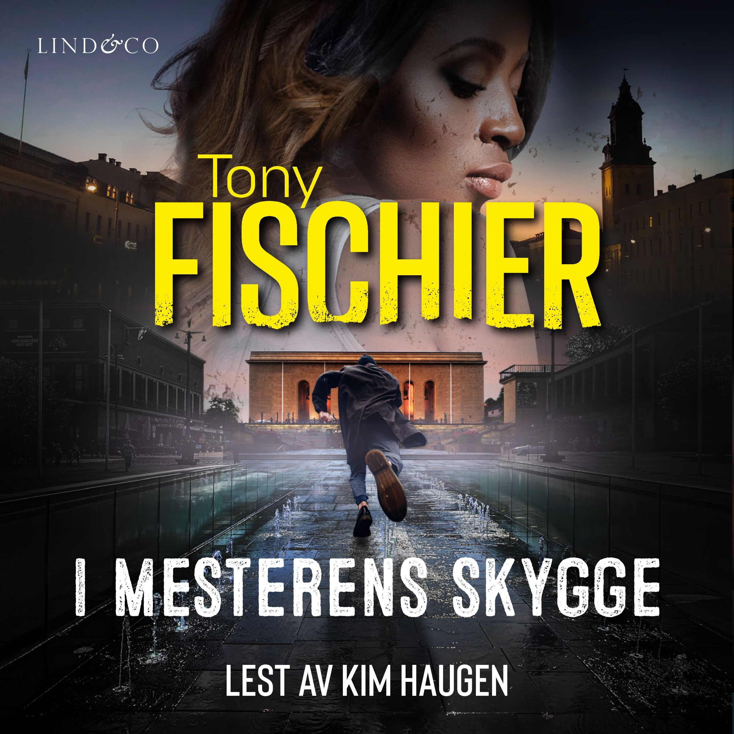 I mesterens skygge
