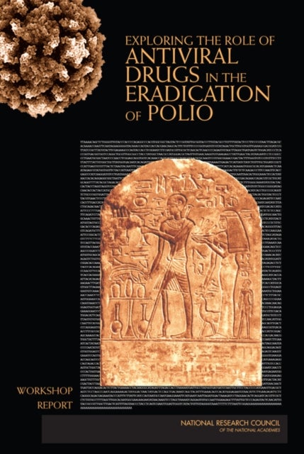 Exploring the Role of Antiviral Drugs in the Eradication of Polio - Workshop Report
