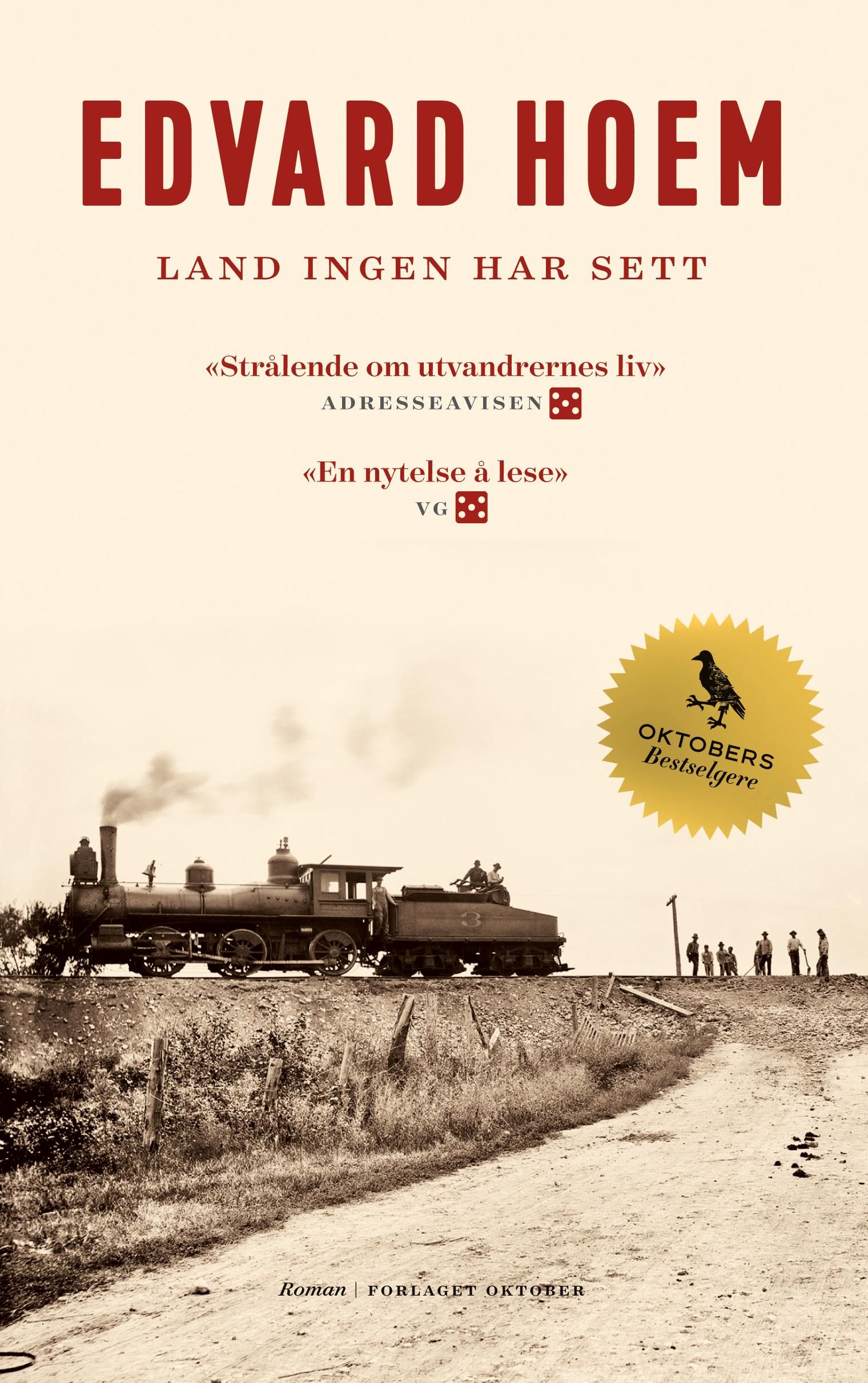 Land ingen har sett - roman