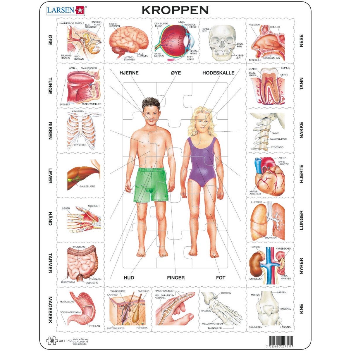 Platepusle Maxi 35 Kroppen