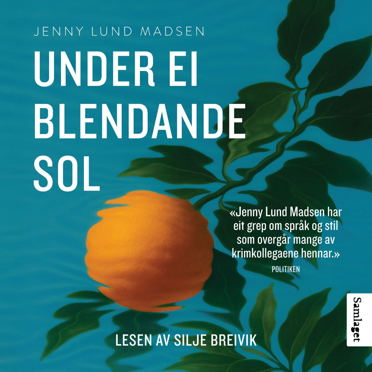 Under ei blendande sol