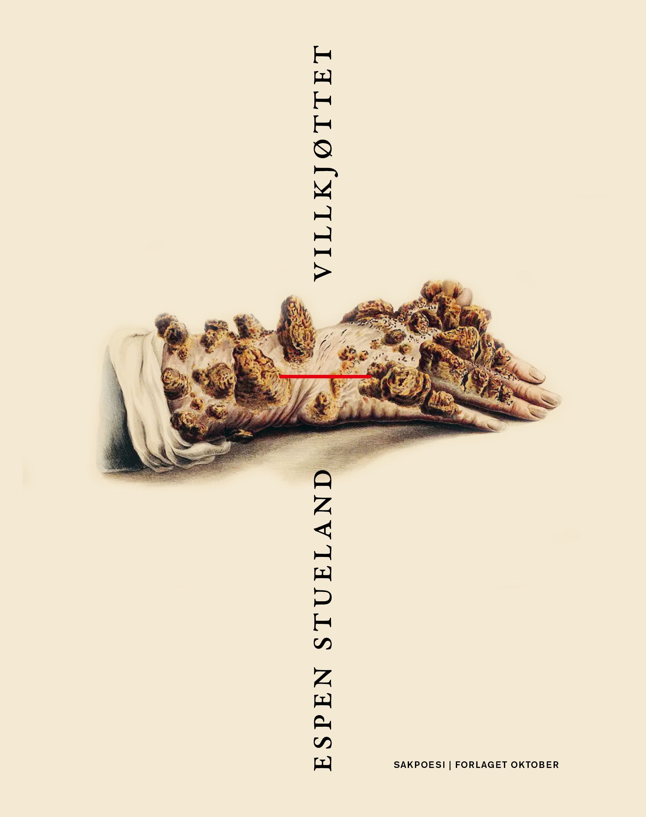 Villkjøttet - sakpoesi