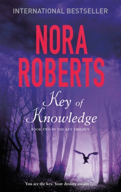 Key Of Knowledge - Number 2 in series