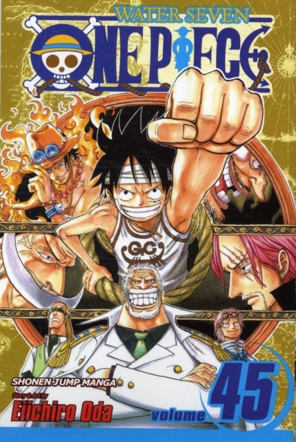 One Piece, Vol. 45 - You Have My Sympathies
