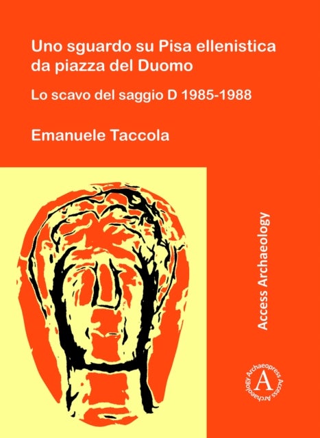 Uno sguardo su Pisa ellenistica da piazza del Duomo - Lo scavo del saggio D 1985-1988