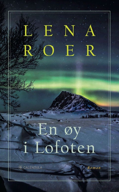 En øy i Lofoten - roman