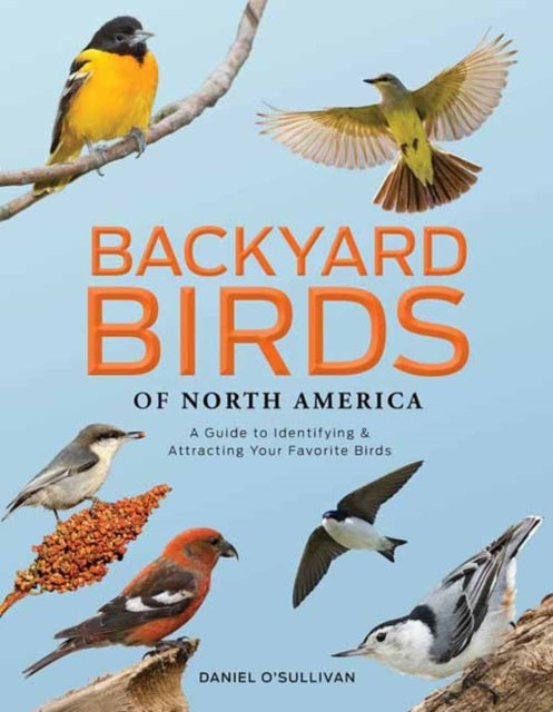 Backyard Birds of North America - A Guide to Identifying and Attracting Your Favorite Birds