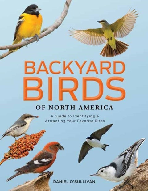 Backyard Birds of North America - A Guide to Identifying and Attracting Your Favorite Birds