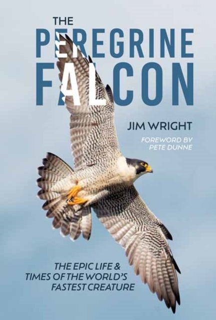 The Peregrine Falcon - The Epic Life and Times of the World’s Fastest Creature