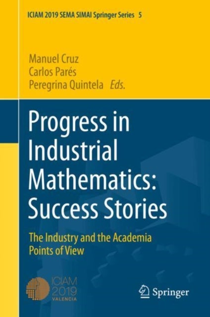Progress in Industrial Mathematics: Success Stories - The Industry and the Academia Points of View
