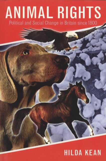 Animal Rights - Political and Social Change in Britain since 1800